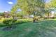 0S210 Church, Winfield, IL 60190