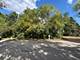 6N375 Rosedale, Roselle, IL 60172