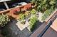 524 W Barry, Chicago, IL 60657