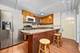 1450 N Springfield, Chicago, IL 60651