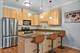 633 E Bowen Unit 1E, Chicago, IL 60653