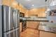 633 E Bowen Unit 1E, Chicago, IL 60653