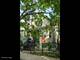 3037 N Elbridge Unit G, Chicago, IL 60618
