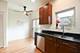 255 South Unit 7, Oak Park, IL 60302