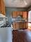 559 N Grove, Elgin, IL 60120