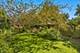 5611 S Kenwood, Chicago, IL 60637