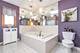 22125 Jasmine, Frankfort, IL 60423