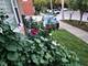 7638 Knox, Skokie, IL 60076