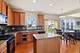 8 Forsythia, Bolingbrook, IL 60490