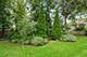 94 Cassin, Naperville, IL 60565