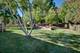 467 Taubert, Batavia, IL 60510