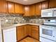 1041 Susan Collins Unit 402, Oak Park, IL 60302