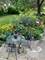 18028 Burnham, Lansing, IL 60438