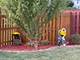 709 Winterberry, Joliet, IL 60431
