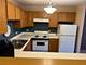 801 N Mclean Unit 226, Elgin, IL 60123
