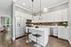 2254 W Wolfram, Chicago, IL 60618