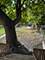 7342 S Aberdeen, Chicago, IL 60621
