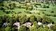 3706 Royal Fox, St. Charles, IL 60174