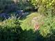 1014 S Chester, Park Ridge, IL 60068