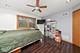 246 Lakeview, Steger, IL 60475