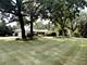 7991 Forestview, Orland Park, IL 60462
