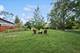 1485 E Forest, Des Plaines, IL 60018