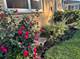 1440 S 4th, Des Plaines, IL 60018