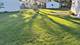 1440 S 4th, Des Plaines, IL 60018