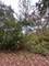 0 Endwood, Long Grove, IL 60047
