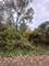 0 Endwood, Long Grove, IL 60047