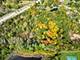 21041-51 N Quentin, Lake Zurich, IL 60047