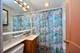 139 E Anita, Mount Prospect, IL 60056