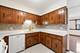 8427 W Windsor Unit 1, Chicago, IL 60656