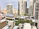 100 E Walton Unit 14A, Chicago, IL 60611