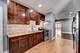 7025 S Chappel, Chicago, IL 60649