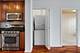 1250 S Indiana Unit 503, Chicago, IL 60605