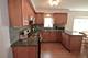 10332 Elizabeth Unit 1, Westchester, IL 60154