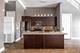 1008 W Lake Unit 2, Chicago, IL 60607