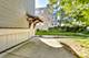 2522 W Winnemac, Chicago, IL 60625