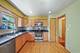 251 Polo Club, Glendale Heights, IL 60139