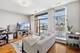 1572 Maple Unit 501, Evanston, IL 60201