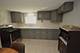 10332 Elizabeth Unit Garden, Westchester, IL 60154