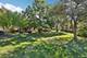 1698 Pebble Beach, Hoffman Estates, IL 60169