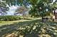 1698 Pebble Beach, Hoffman Estates, IL 60169