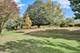 1114 Tennyson, Naperville, IL 60540