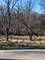 Oak Meadow Lot 2 Hadley, Homer Glen, IL 60491