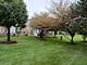 24333 Leski, Plainfield, IL 60585