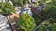 37 N Lockwood, Chicago, IL 60644