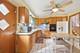 9020 S Constance, Chicago, IL 60617