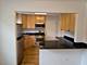 1540 W Chase Unit 2W, Chicago, IL 60626